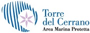 Co.Ges. AMP Torre del Cerrano